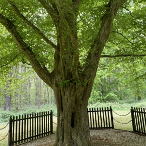 Frankreichreise-2022-3