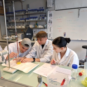 Vitamin-Workshop-2024-5
