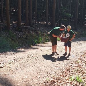 Waldjugendspiele-2026-2